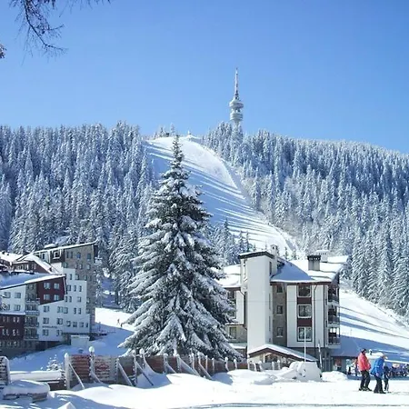 Snow Dreams 1 Grand Monastery * Pamporovo
