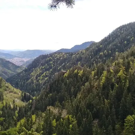 شقة Snow Dreams 1 Grand Monastery *